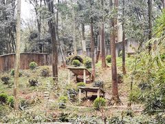 -中国大熊猫保护研究中心雅安碧峰峡基地