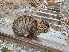 -终南山南五台景区