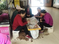 -山菌美食苑(振兴路店)