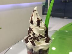 -Salud撒露欧洲冻酸奶(北苑上品店)