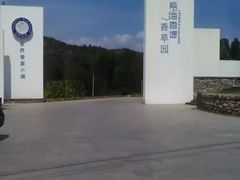 -紫海香堤香草艺术庄园