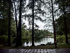 -上海共青森林公园