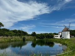 -济州森林小火车生态公园