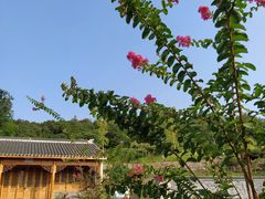 -云和夜泊酒店·中餐厅