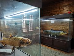 -南京金牛湖风景区