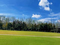 -合肥滨湖国家森林公园