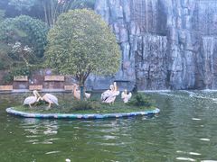 -贵州森林野生动物园