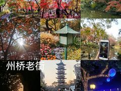 -秋霞圃