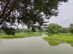-北京麋鹿生态实验中心