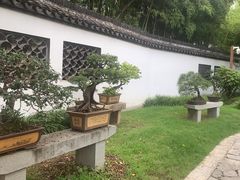 -上海醉白池公园