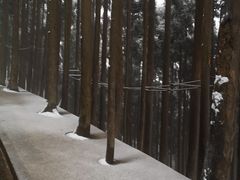 -太阳湾风景区