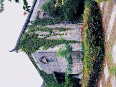 -杏花村文化旅游区