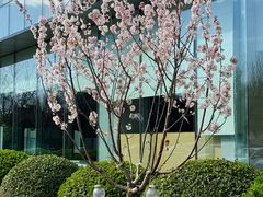 -高嶺咖啡(望京店)