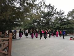 -迎泽公园