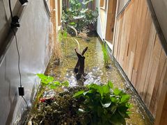 -邈墨茶馆(凤起路店)