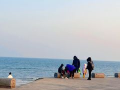 -巧克力渔家.小船海鲜胶东菜(万平口店)