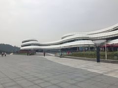 -野狸岛