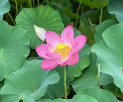 -大望京儿童游乐场