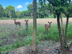 -不觉晓CAMPING(上海迪士尼营地店)