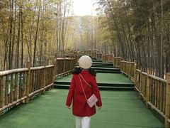 -陶祖圣境风景区
