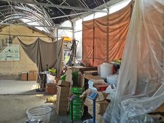 -马陆小张葡萄园农家乐