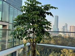 -THE CUT Rooftop顶楼牛排餐吧(环贸iapm店)