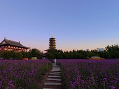 -长春北湖公园