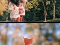 -合肥滨湖国家森林公园