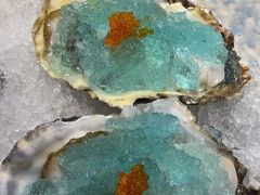 -千岛蚝高压锅生蚝·人参火锅(白云万达店)