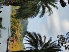 -深圳仙湖植物园