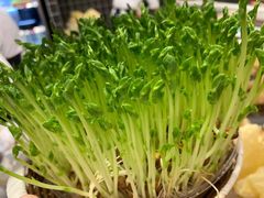 -好彩猪肚鸡(正弘城店)