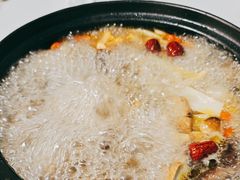 -蘑统田下·野生菌火锅