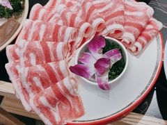 -蜀大侠火锅(四川北路店)