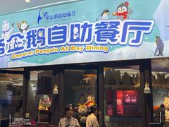 -帝企鹅自助餐厅•儿童岛•真企鹅(长隆企鹅酒店)