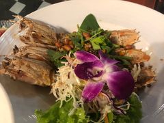 -Onion restaurant