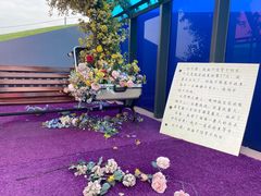 -荷兰花海