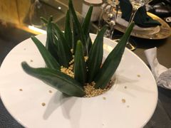 -蒙料·手把肉(望京店)