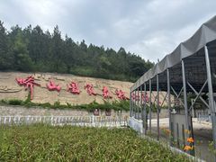 -北京十三陵国家森林公园蟒山景区