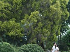 -广东花都香草世界旅游度假区