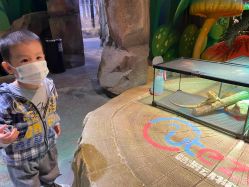 -酷嗒动物文化乐园(cutezoo西溪乐天城店)