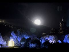 -禅宗少林·音乐大典