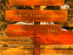 -边城茶峒景区