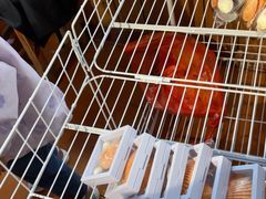 -蓝湾碧波·老字号·疍家非遗海上餐厅