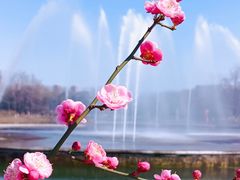 -白塘生态植物园