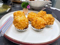 -丁老爷子苏香圆