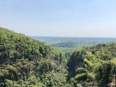 -川西竹海景区