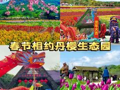 -丹樱生态园