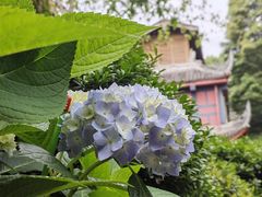 -峨眉山风景名胜区
