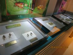 IMG_2812-上海昆虫博物馆