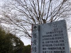 -东台西溪天仙缘景区
